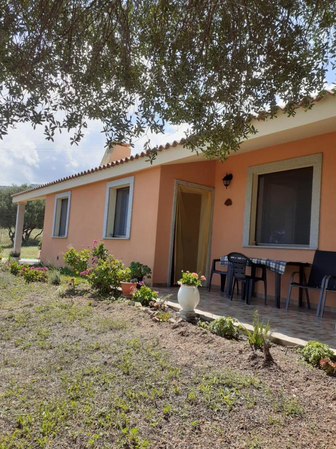 Gli Olivastri Con Piscina,Solarium, Vista Mare ,Sole -Mare E Tanta Natura ,Climatizzatore,Wifi Aglientu Zewnętrze zdjęcie