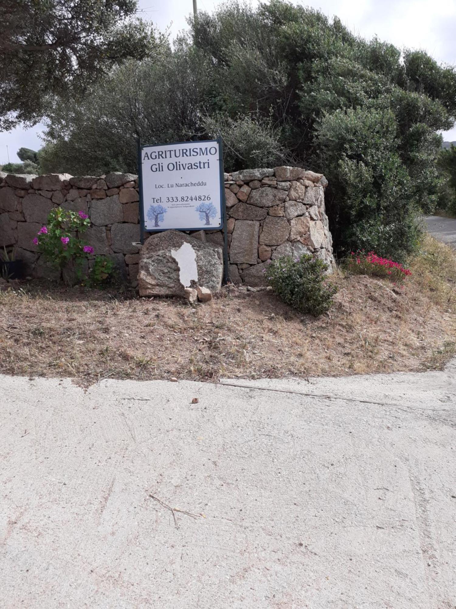 Gli Olivastri Con Piscina,Solarium, Vista Mare ,Sole -Mare E Tanta Natura ,Climatizzatore,Wifi Aglientu Zewnętrze zdjęcie