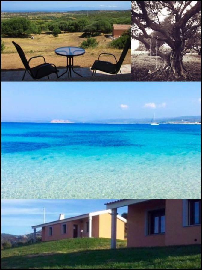 Gli Olivastri Con Piscina,Solarium, Vista Mare ,Sole -Mare E Tanta Natura ,Climatizzatore,Wifi Aglientu Zewnętrze zdjęcie