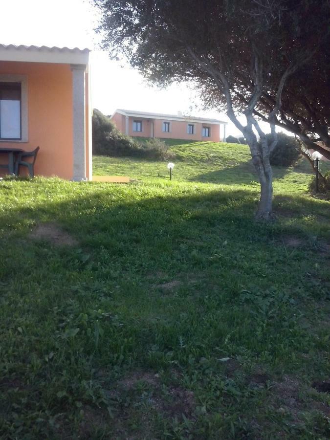 Gli Olivastri Con Piscina,Solarium, Vista Mare ,Sole -Mare E Tanta Natura ,Climatizzatore,Wifi Aglientu Zewnętrze zdjęcie